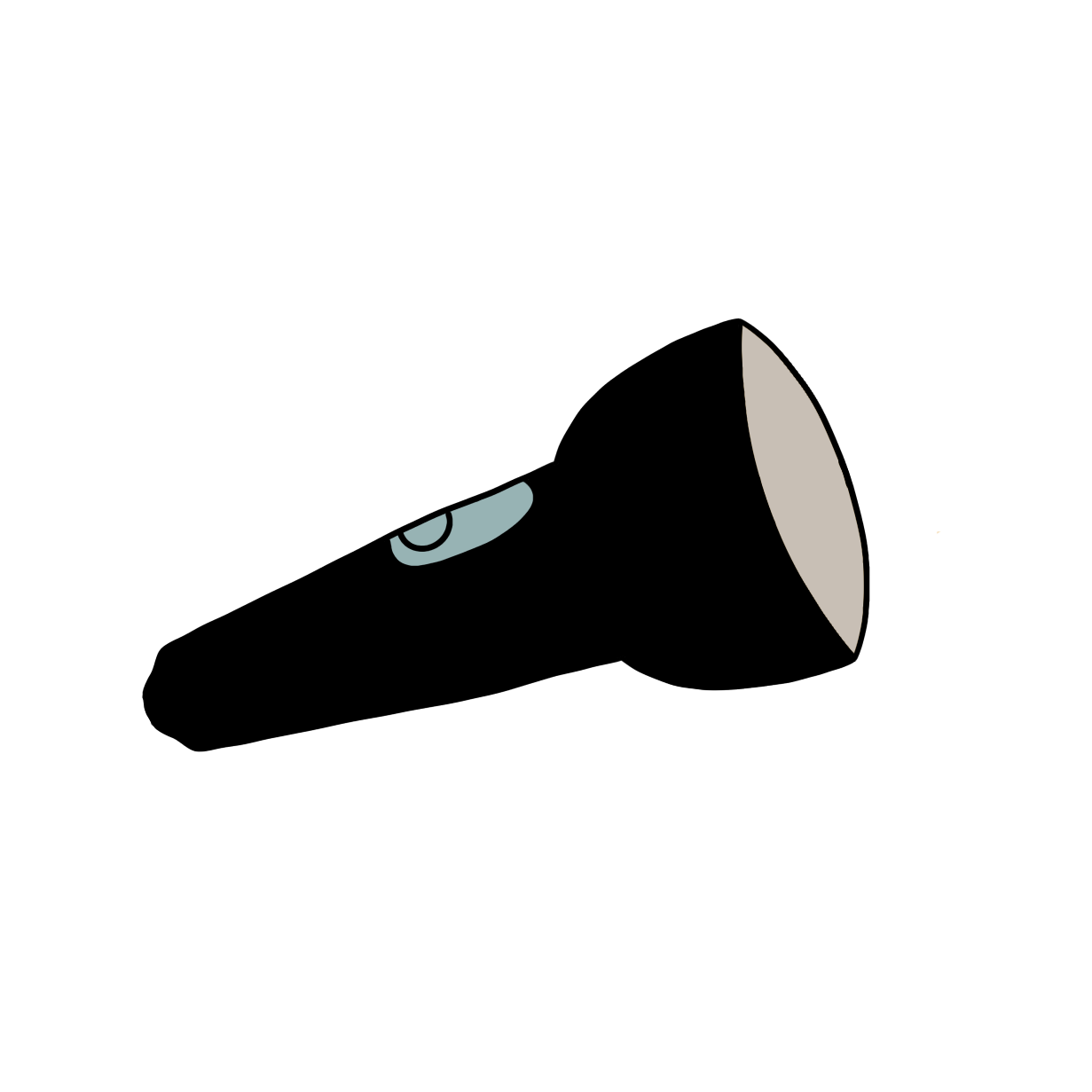 Flash Light